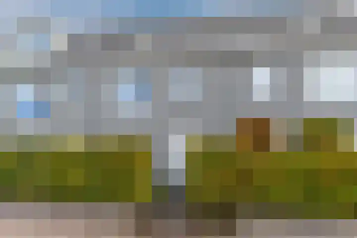 Meikers 20 Berkel-Enschot thumbnail 6