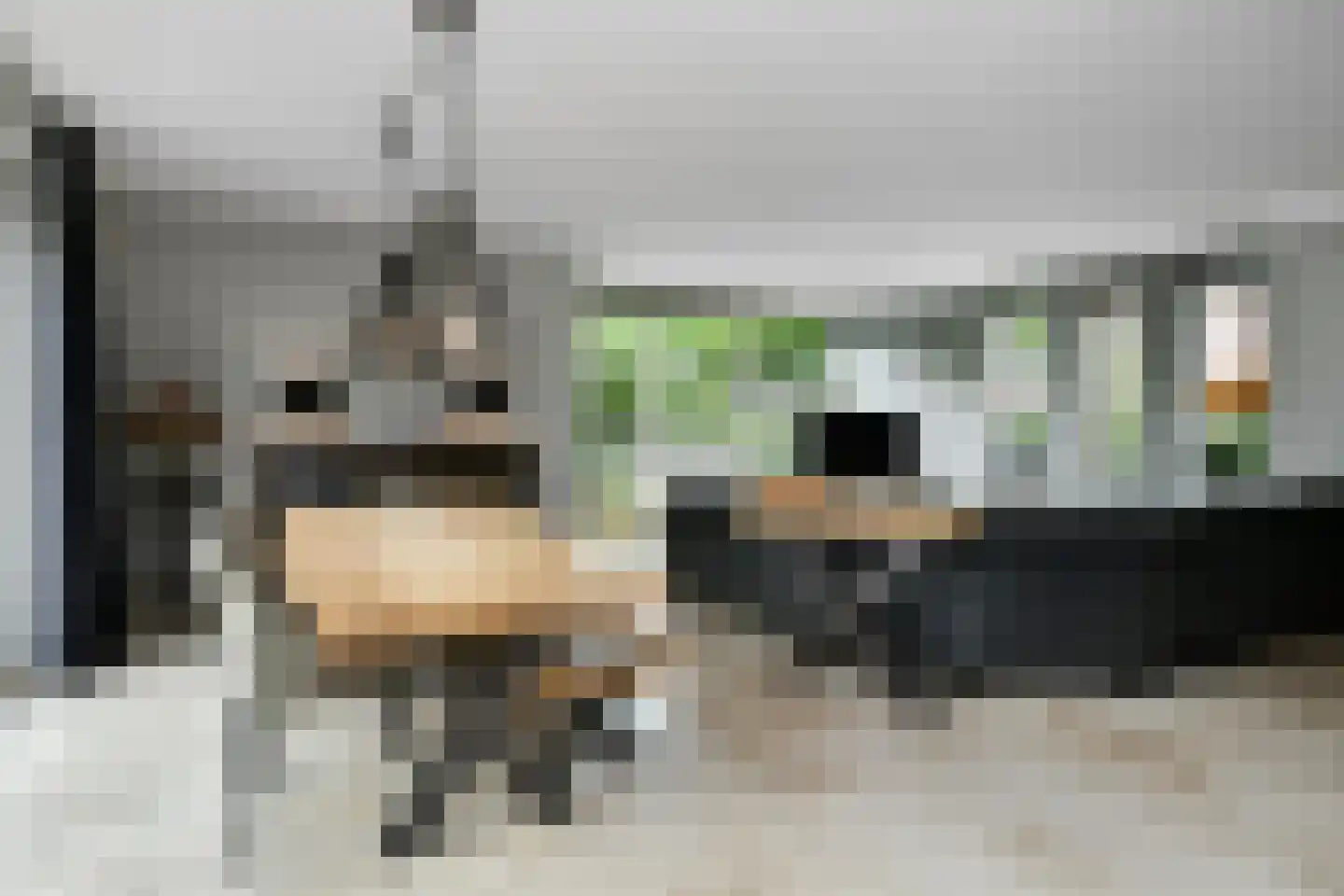 Meikers 3 Elst thumbnail 14