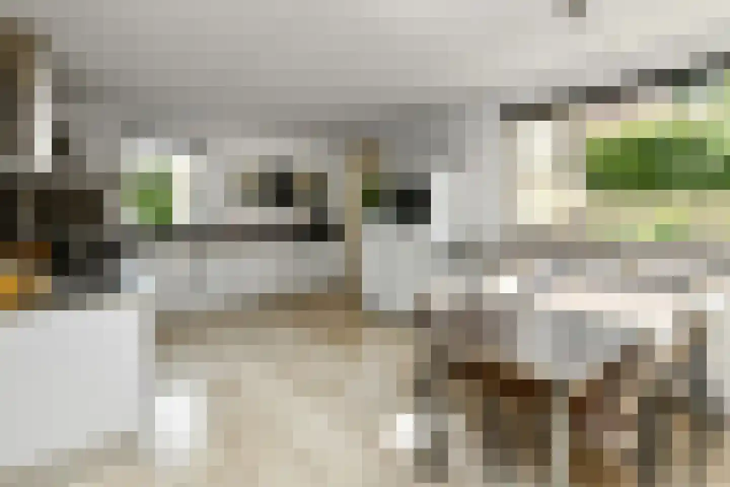 Meikers 3 Elst thumbnail 15