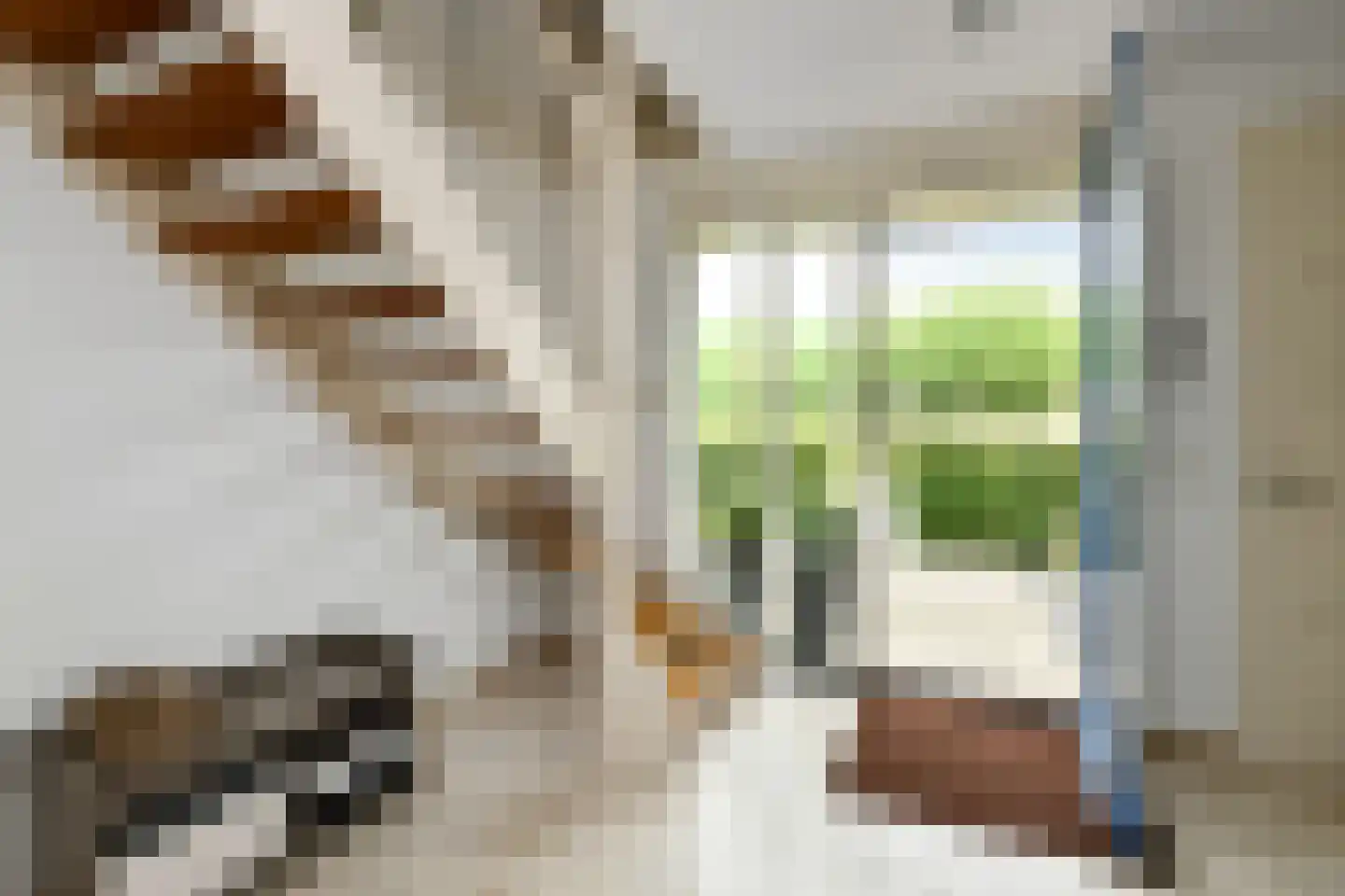 Meikers 3 Elst thumbnail 26