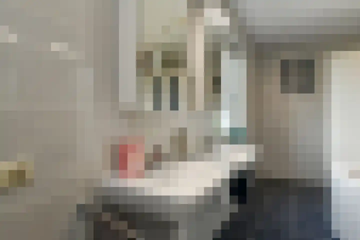 Meikers 3 Elst thumbnail 38