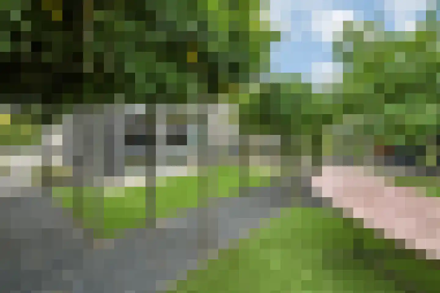Meikers 3 Elst thumbnail 45