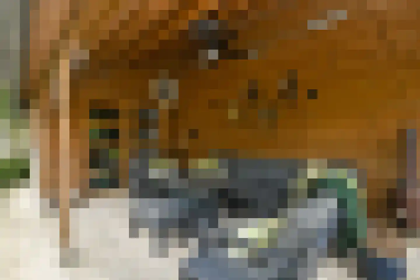 Meikers 3 Elst thumbnail 54