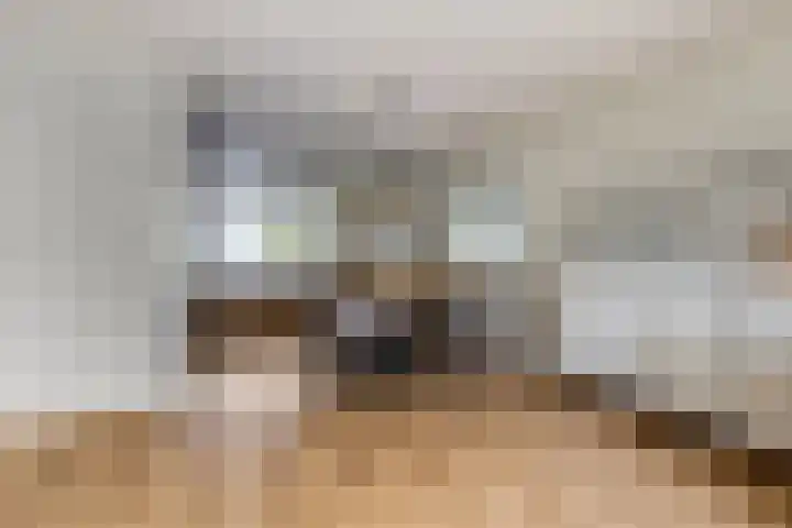 Meikers 33 Tiel thumbnail 11