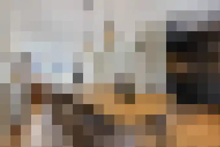 Meikers 33 Tiel thumbnail 12