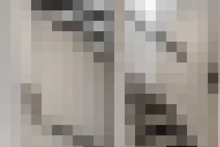 Meikers 33 Tiel thumbnail 16