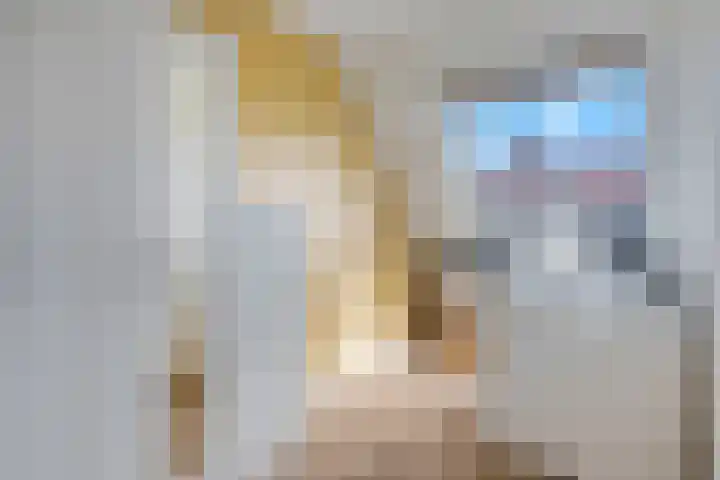 Meikers 33 Tiel thumbnail 19