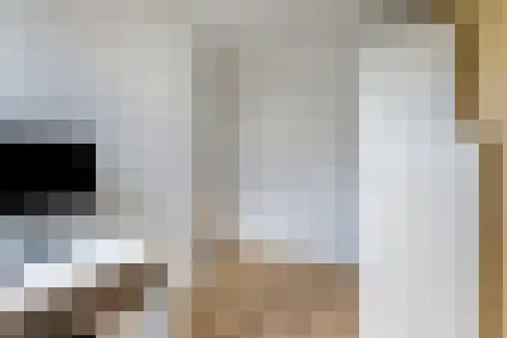 Meikers 33 Tiel thumbnail 20