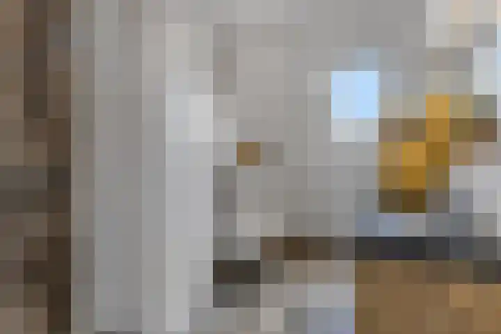 Meikers 33 Tiel thumbnail 23
