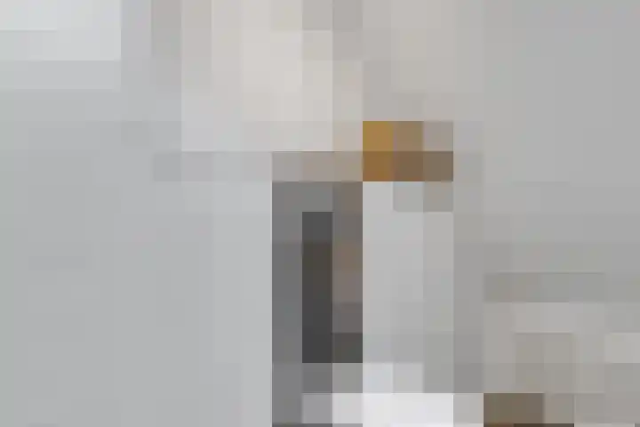Meikers 33 Tiel thumbnail 25