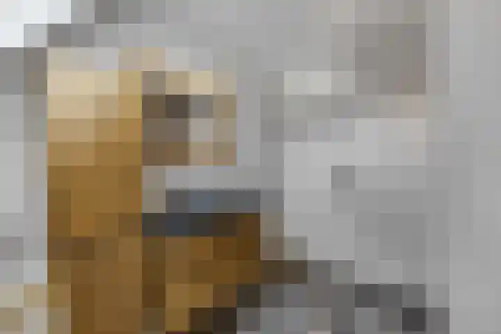 Meikers 33 Tiel thumbnail 26