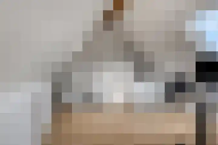 Meikers 33 Tiel thumbnail 28