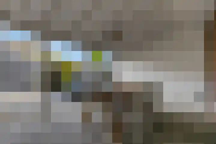 Meikers 33 Tiel thumbnail 29