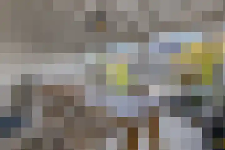 Meikers 33 Tiel thumbnail 30