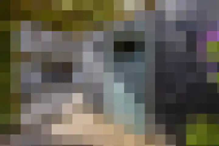 Meikers 33 Tiel thumbnail 33