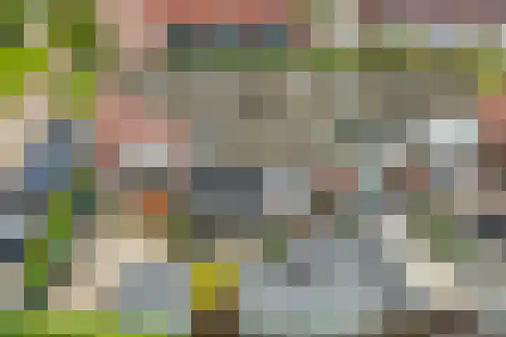 Meikers 33 Tiel thumbnail 34