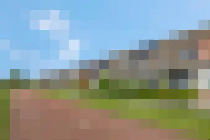Meikers 33 Tiel thumbnail 35