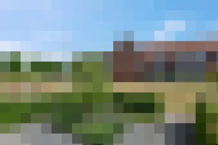 Meikers 33 Tiel thumbnail 36