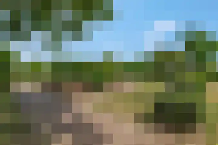 Meikers 33 Tiel thumbnail 39
