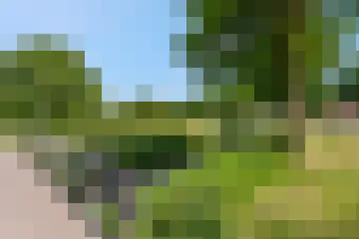 Meikers 33 Tiel thumbnail 40