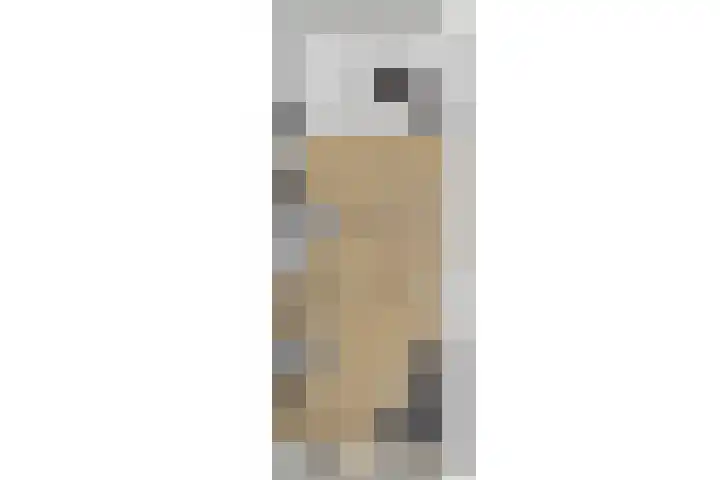 Meikers 33 Tiel thumbnail 45