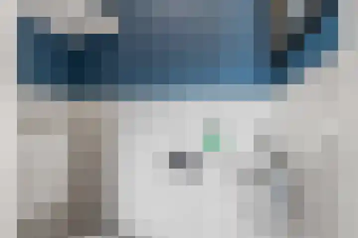 Meikers 33 Tiel thumbnail 6