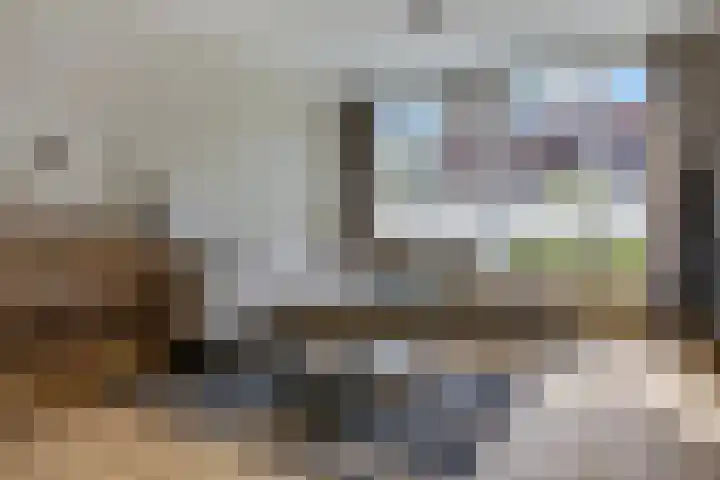 Meikers 33 Tiel thumbnail 8