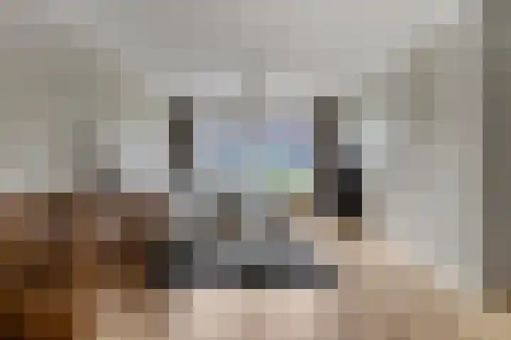 Meikers 33 Tiel thumbnail 9