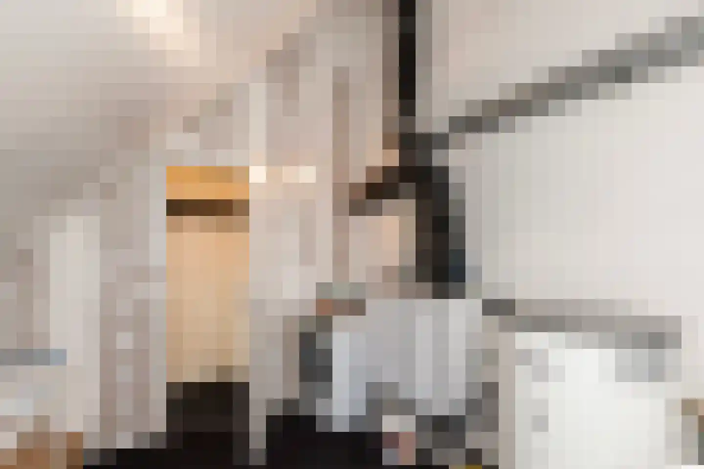 Meikers 5 Hardinxveld-Giessendam thumbnail 25