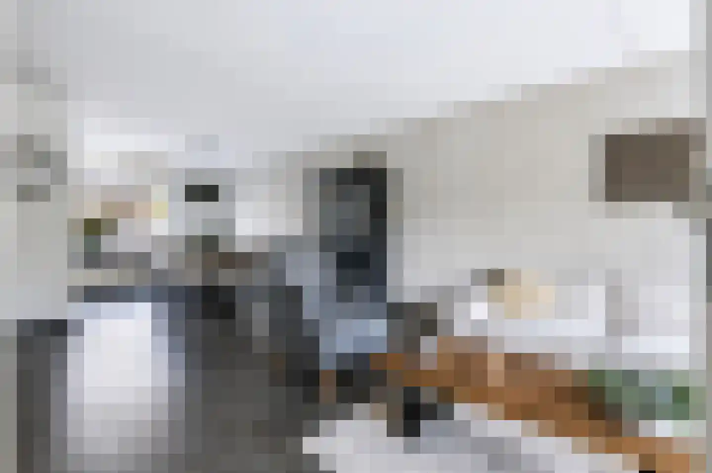 Meikers 5 Tiel thumbnail 14