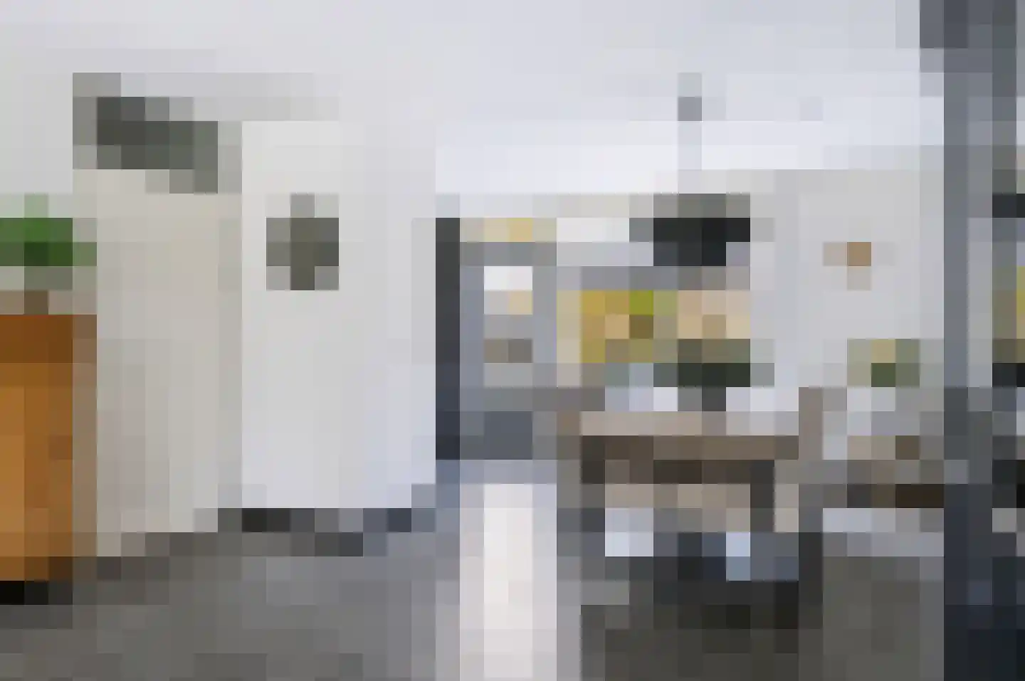 Meikers 5 Tiel thumbnail 17