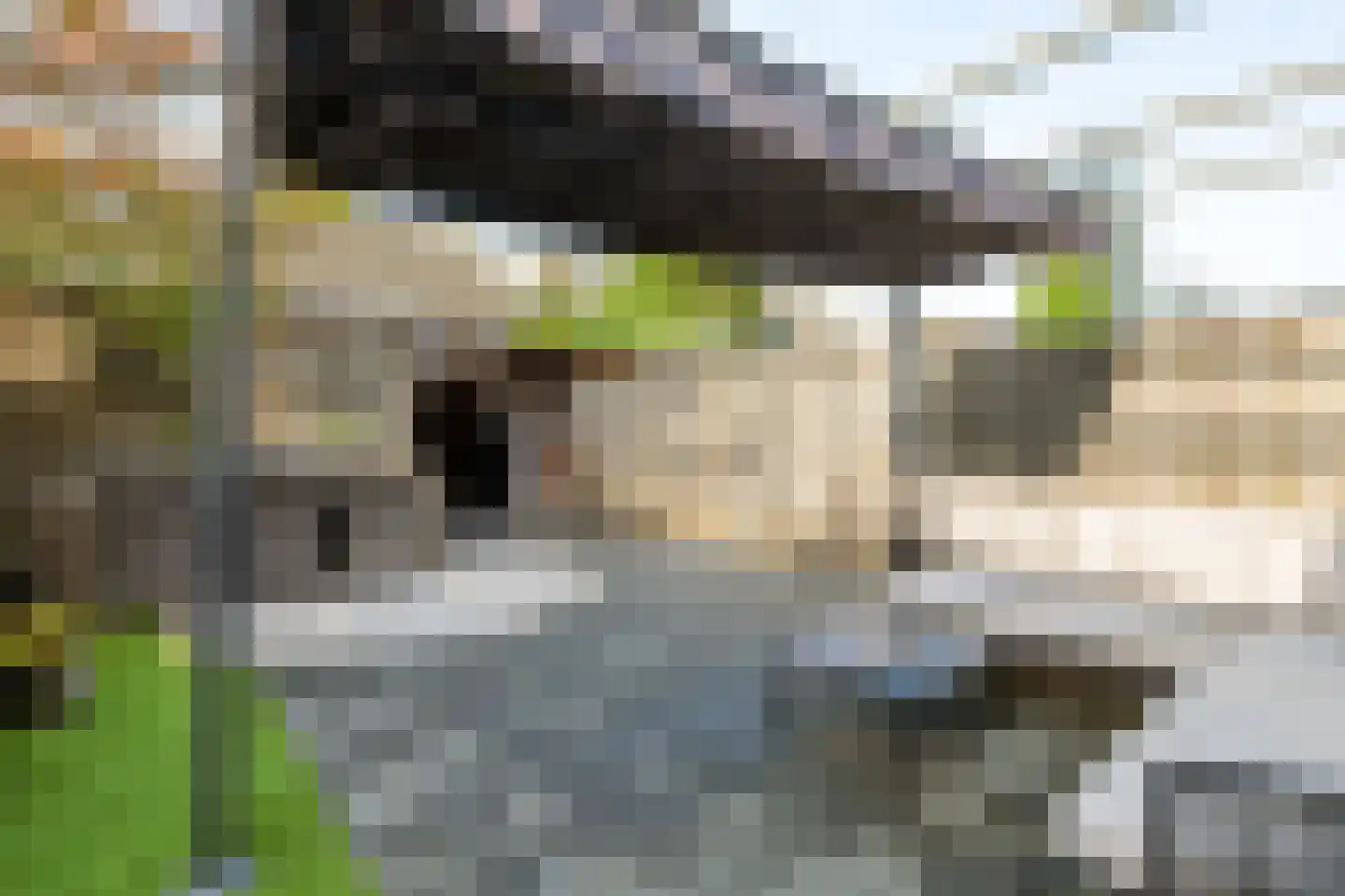 Meikers 5 Tiel thumbnail 22