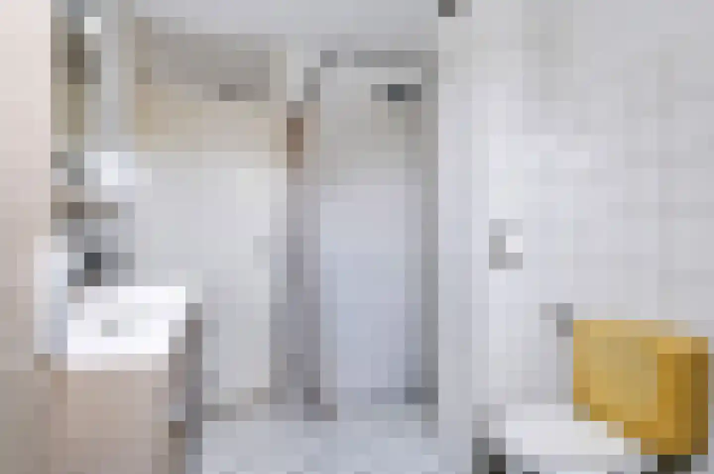 Meikers 5 Tiel thumbnail 39