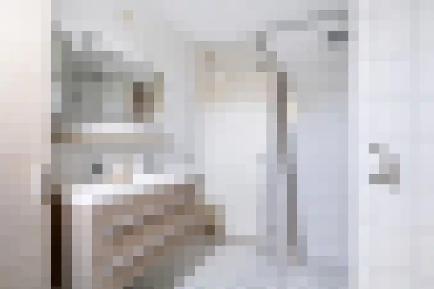 Meikers 5 Tiel thumbnail 40