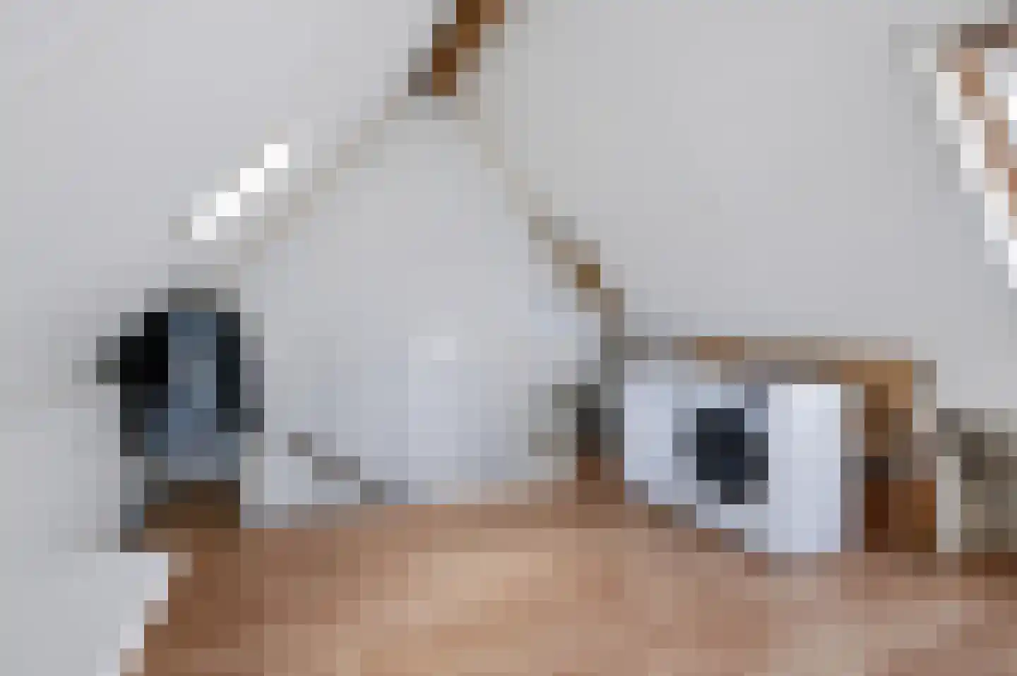 Meikers 5 Tiel thumbnail 43