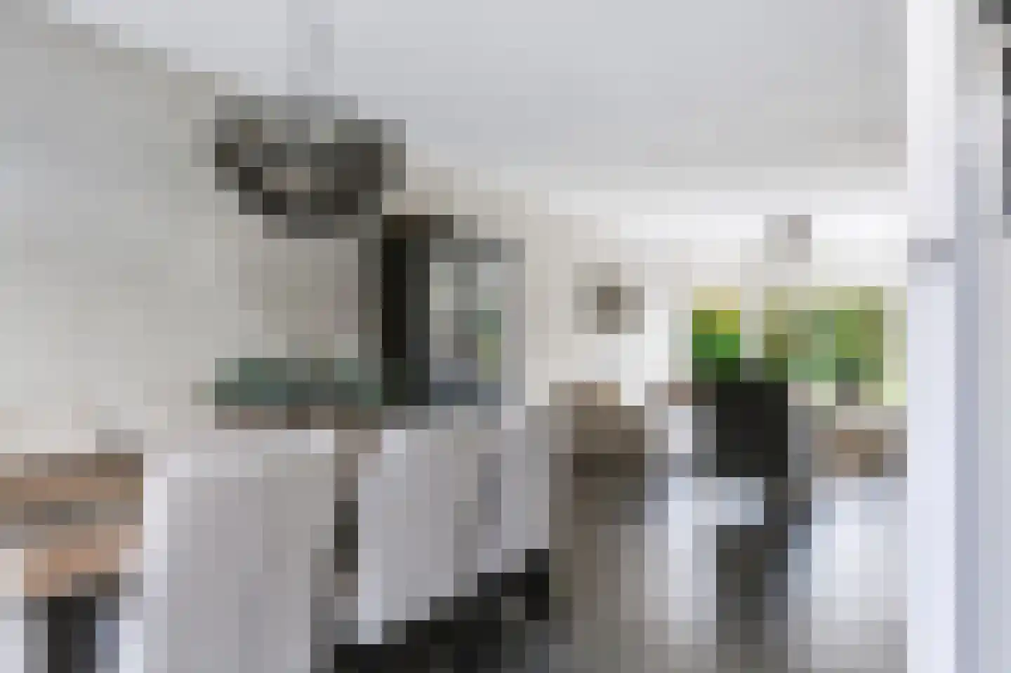 Meikers 5 Tiel thumbnail 6