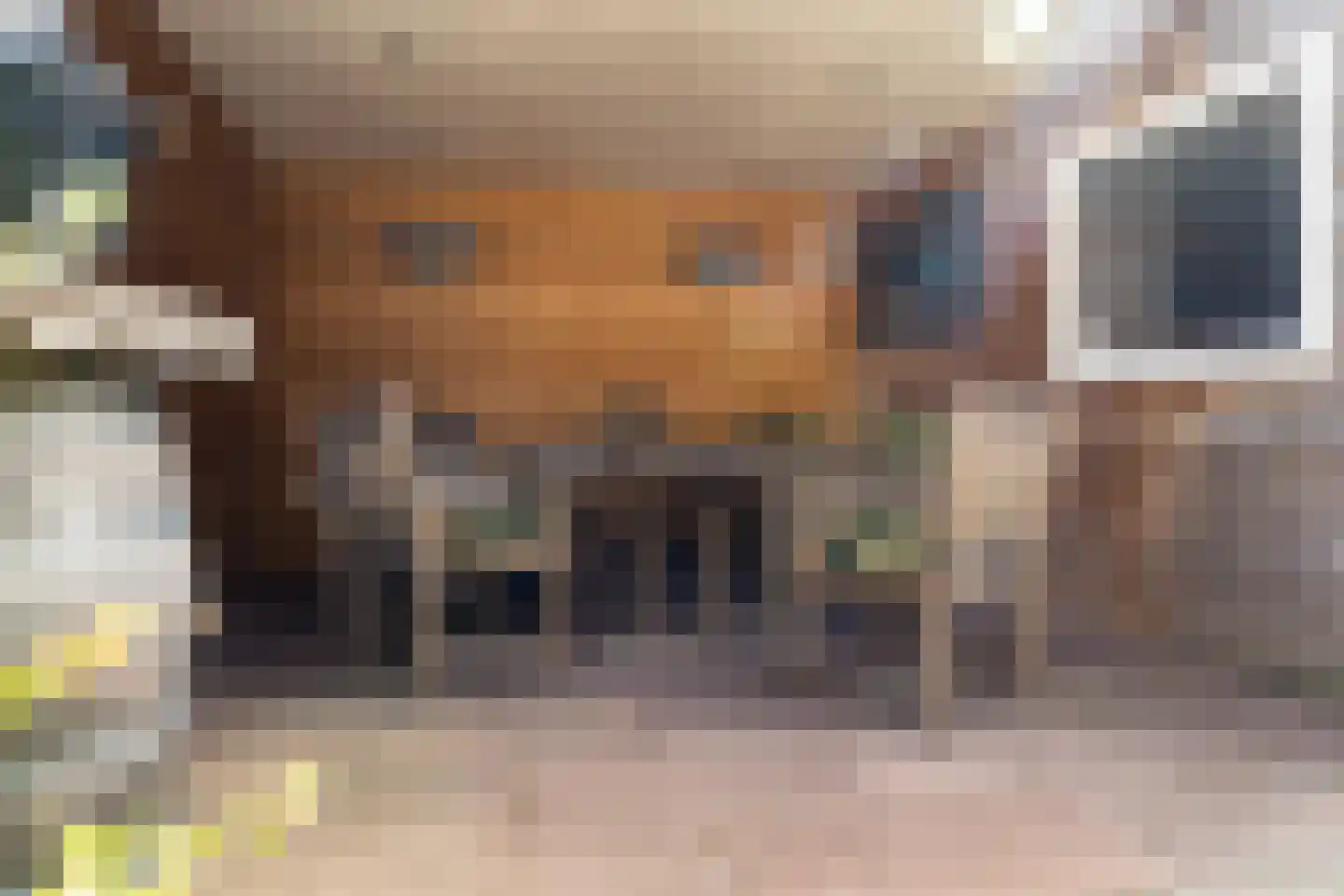 Meikersstraat 10 Kerkdriel thumbnail 14