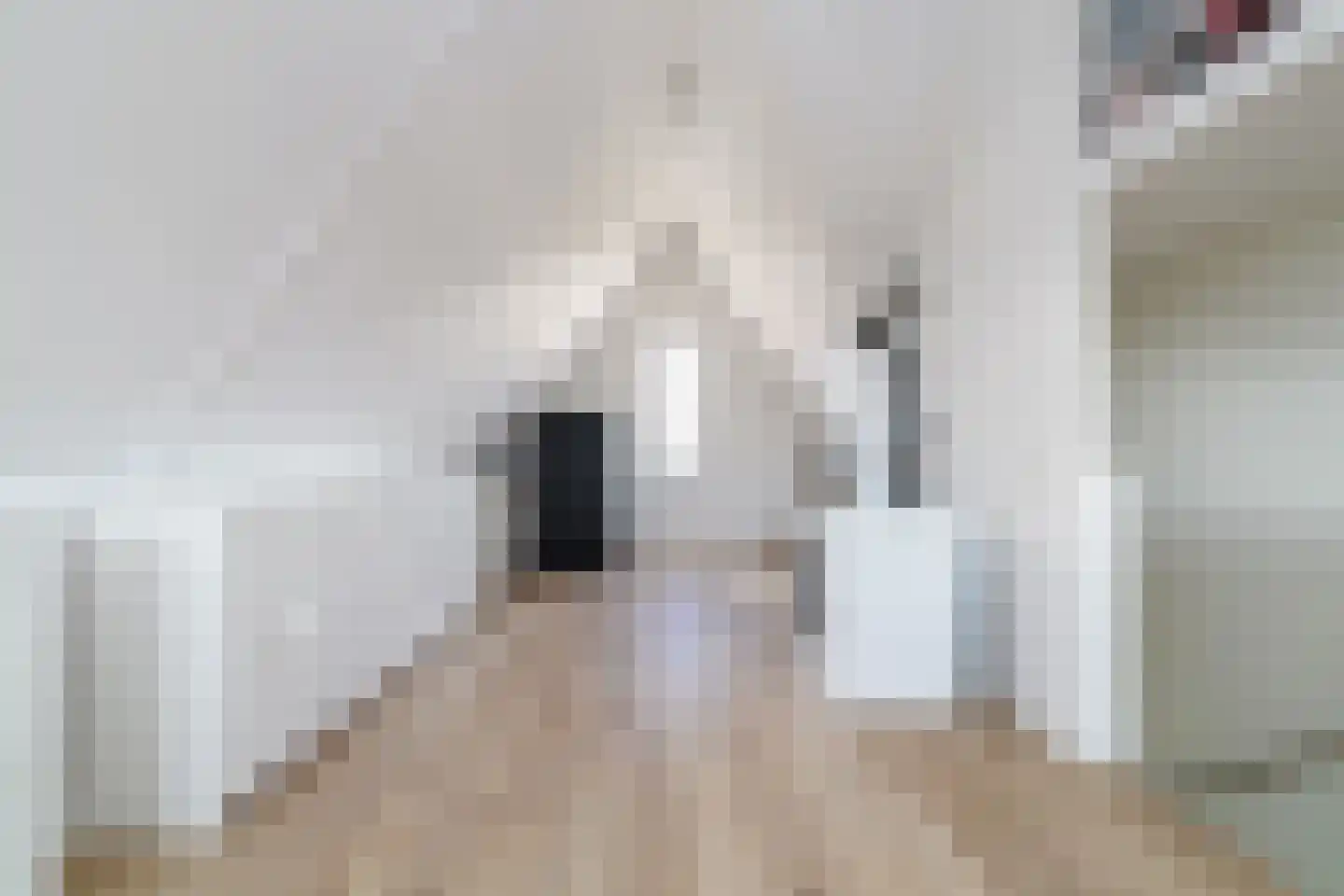 Meikersstraat 10 Kerkdriel thumbnail 34