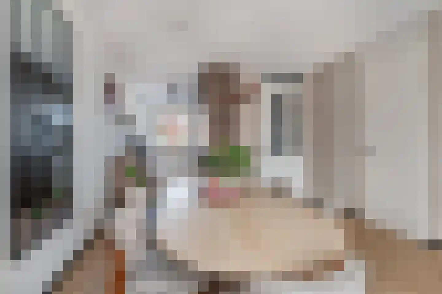 Meikersstraat 28 Kerkdriel thumbnail 12