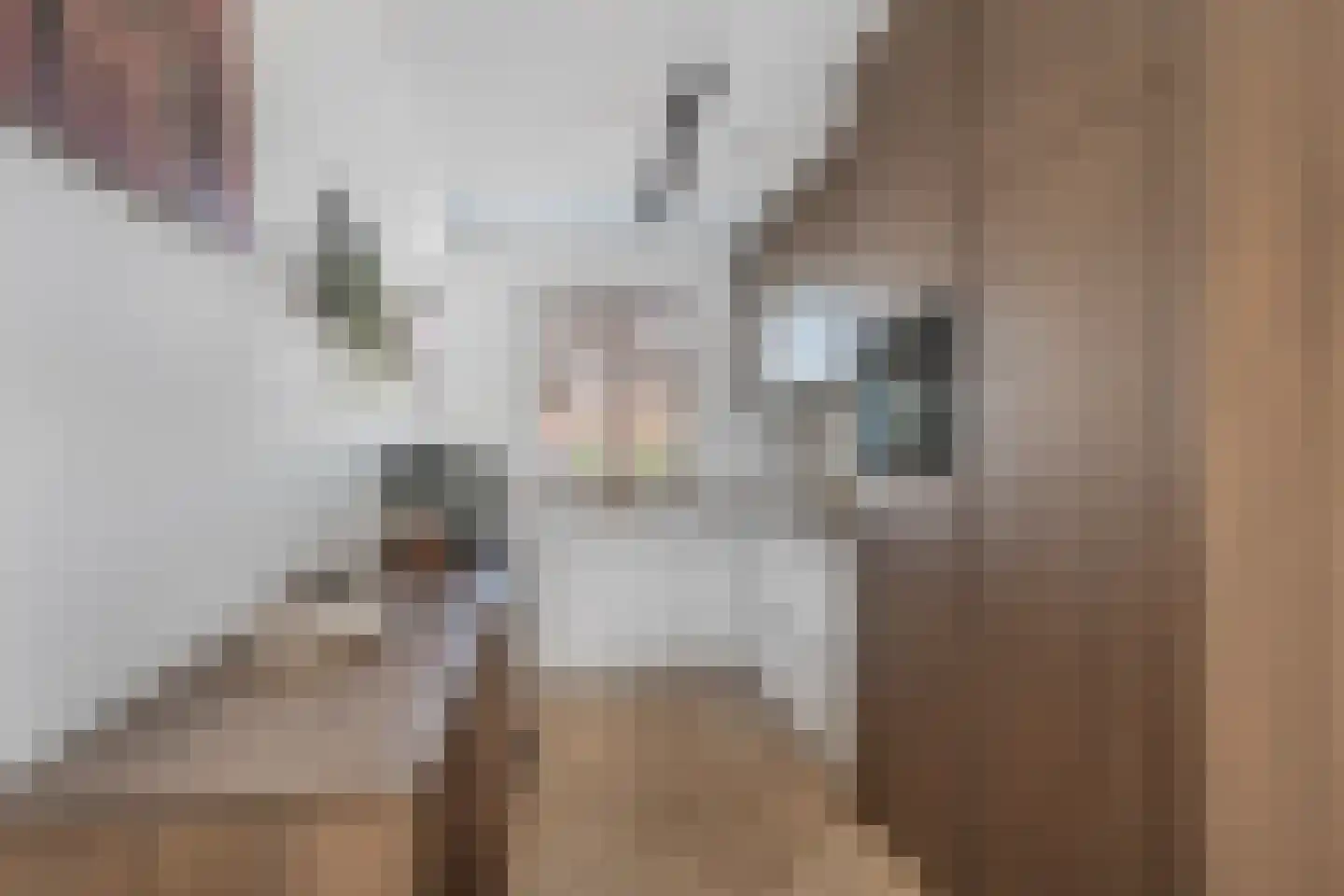 Meikersstraat 28 Kerkdriel thumbnail 13