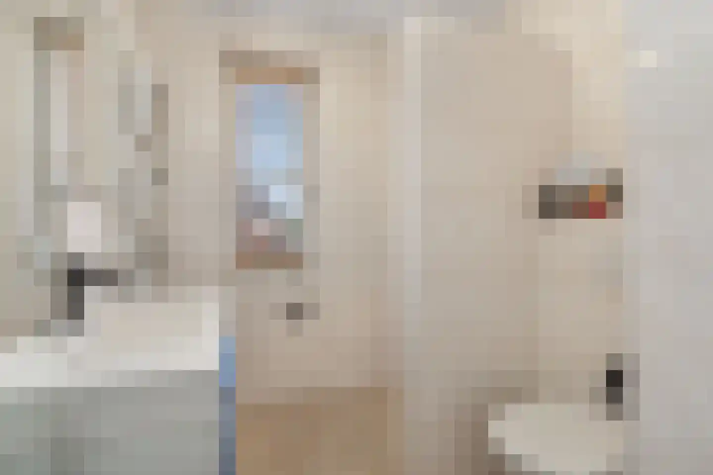 Meikersstraat 28 Kerkdriel thumbnail 16