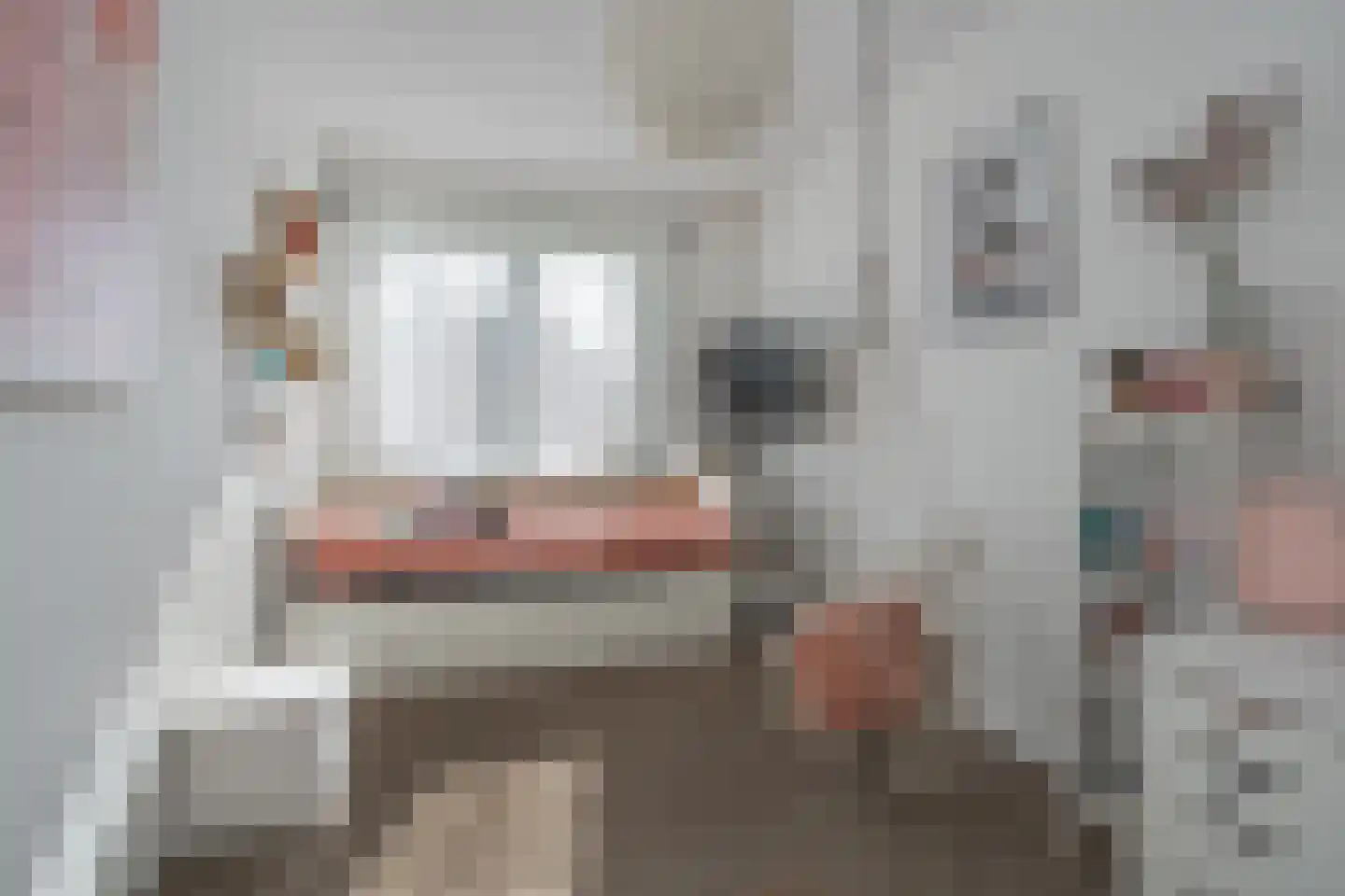 Meikersstraat 28 Kerkdriel thumbnail 23