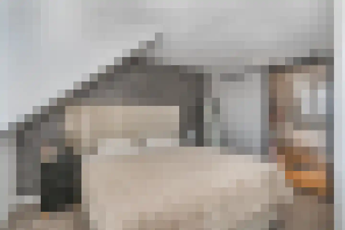 Meikersstraat 28 Kerkdriel thumbnail 25