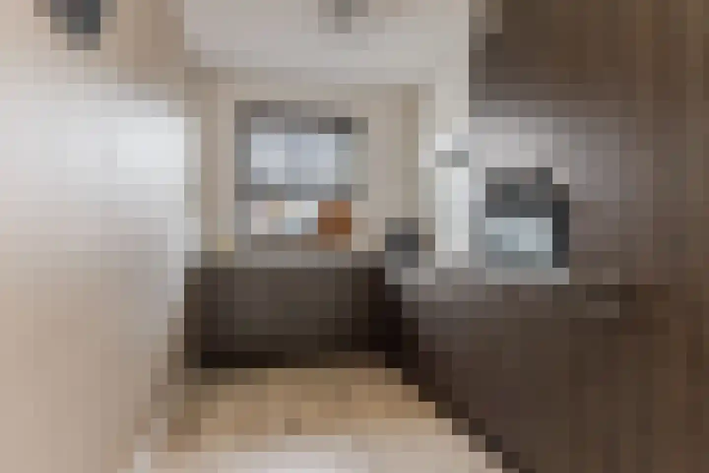 Meikersstraat 30 Kerkdriel thumbnail 11