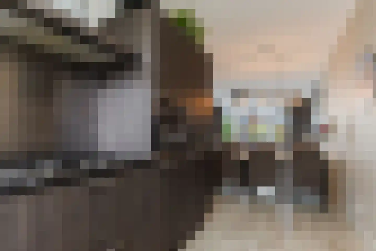 Meikersstraat 30 Kerkdriel thumbnail 13