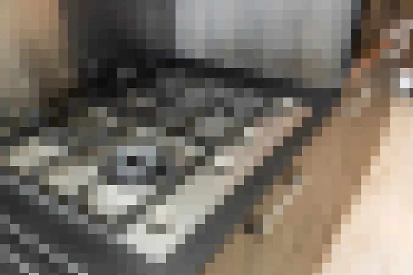 Meikersstraat 30 Kerkdriel thumbnail 15