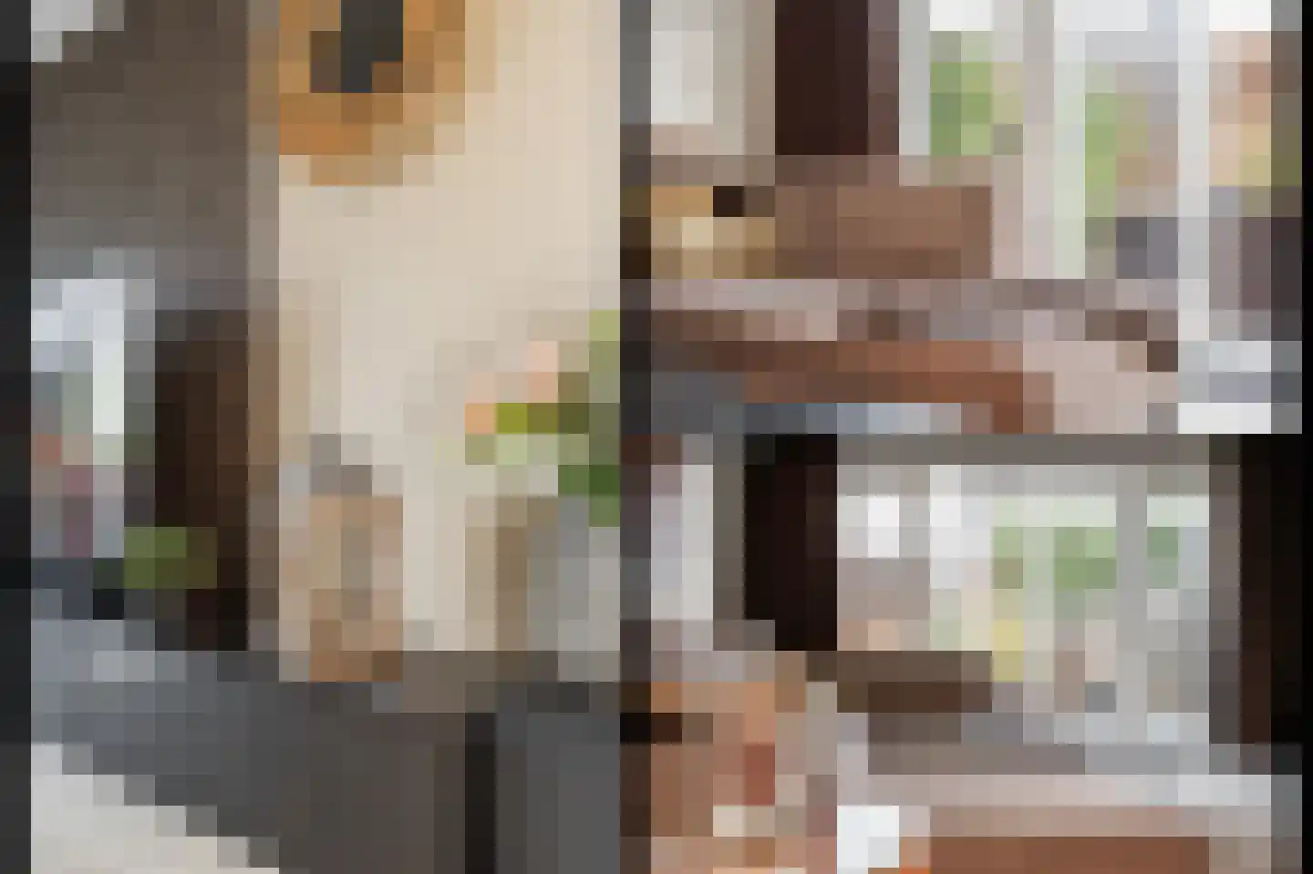 Meikersstraat 30 Kerkdriel thumbnail 19