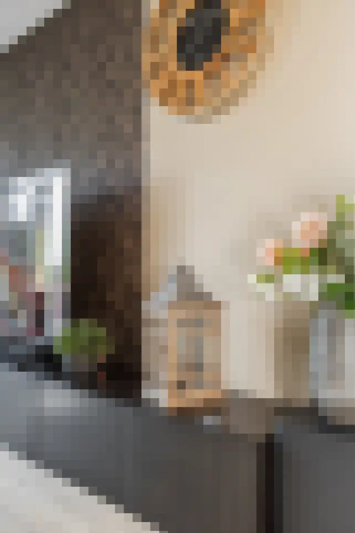 Meikersstraat 30 Kerkdriel thumbnail 22