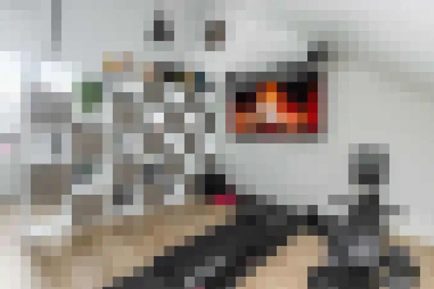Meikersstraat 30 Kerkdriel thumbnail 44
