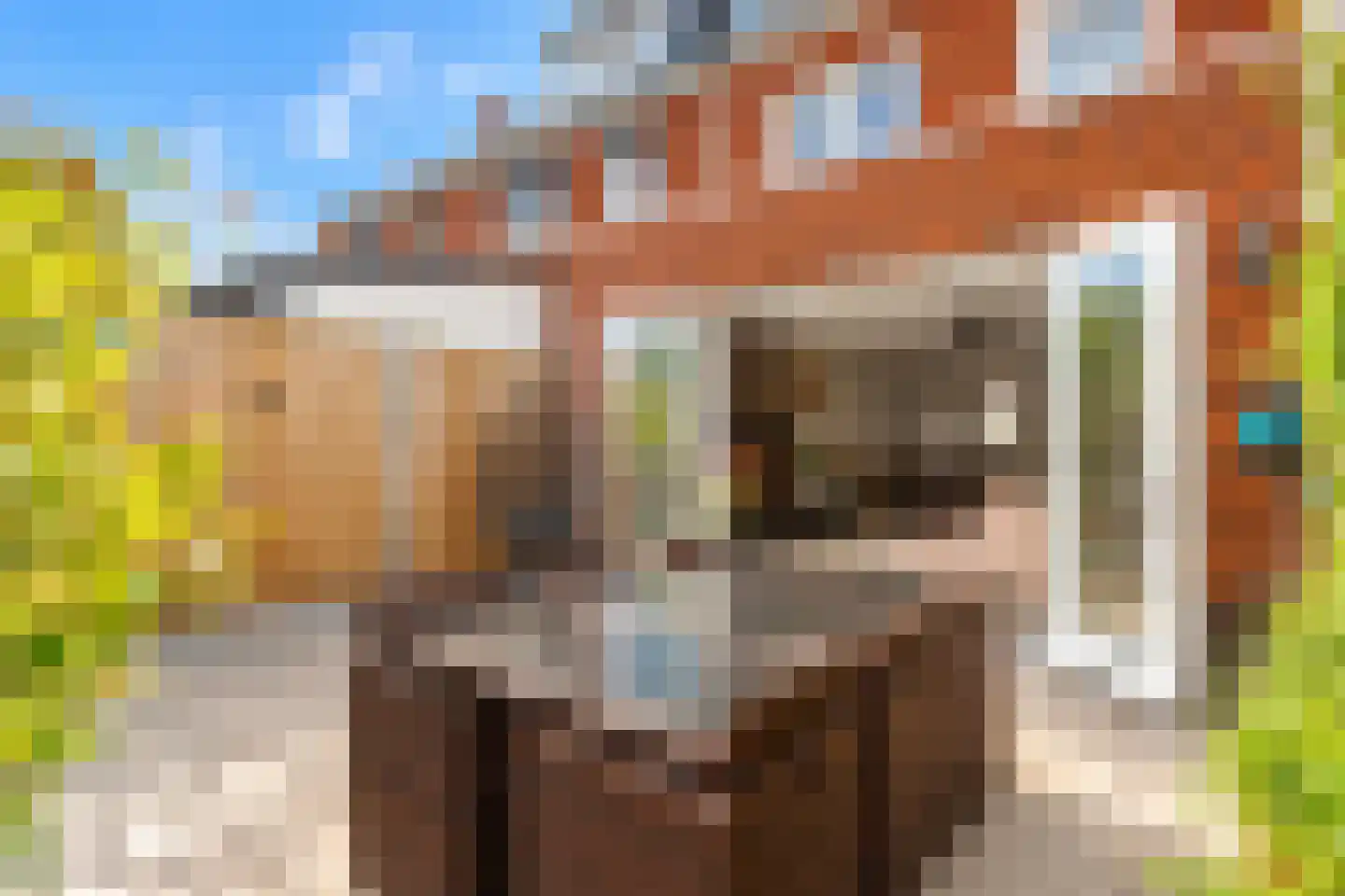 Meikersstraat 30 Kerkdriel thumbnail 50